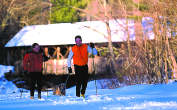 Pet Friendly Resorts Skiing with Dogs