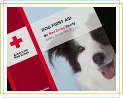 Red Cross Dog