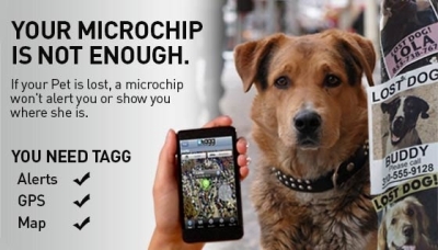 Microchip with gps tracking for dogs