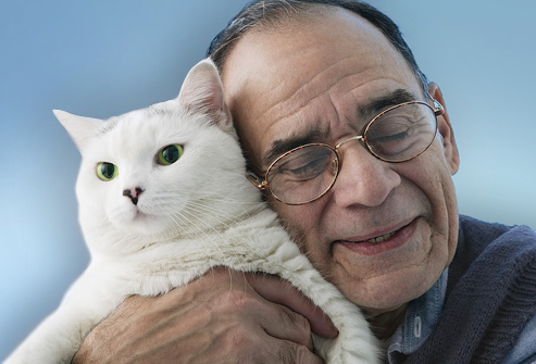 photolibrary rm photo of older man with cat
