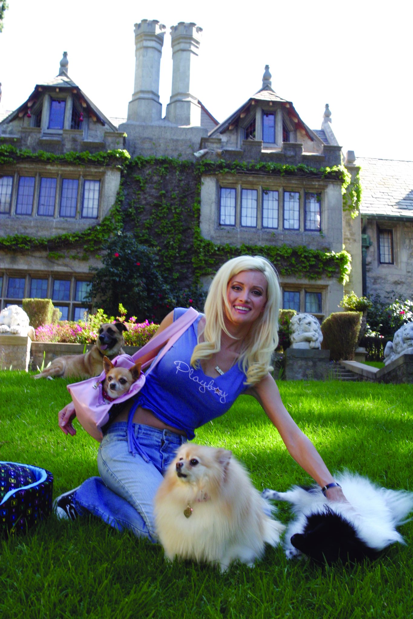Most Eligible Pets 2005: Dutchess Hefner Shows Dogs Are the New Bunnies -  Animal Fair