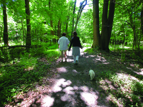 Fairmont Park is a dog walk's dream.