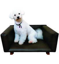 Pets Not Included's modern and chic doggie furniture