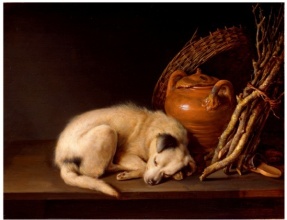 Sleeping Dog, by Gerrit Dou