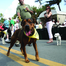 Fun for pooches and pet parents at Arf Deco
