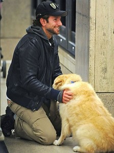 Bradley Cooper and Dog Charlotte