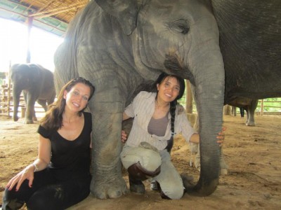 Lek and the Elephants need our help!