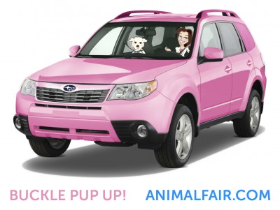 Buckle Pup Up! Pet Travel Car Safety!