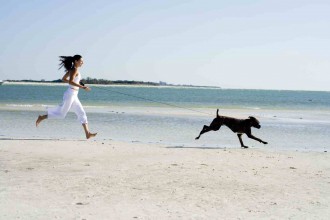 Summer won't last forever! Get out there with your furry companion! 