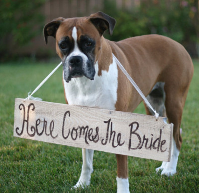 Here comes the bride sign4