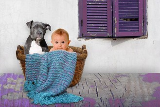 The Cutest picture ever of a baby and pitbull!