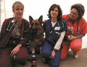 NY - Dr Laura Rand  (in Blue) Jodi Pannell  (to the left)pose with UNO a Red Cross dog was thier first they worked on at the V-MET site on ground Zero