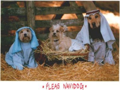 Dog Manger Merry Christmas animal - Animal Fair
