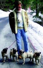 Valentino and his pugs!