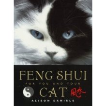 feng shui for you and your cat