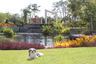 The Naples Botanical Gardens hold a yearly Dog Day