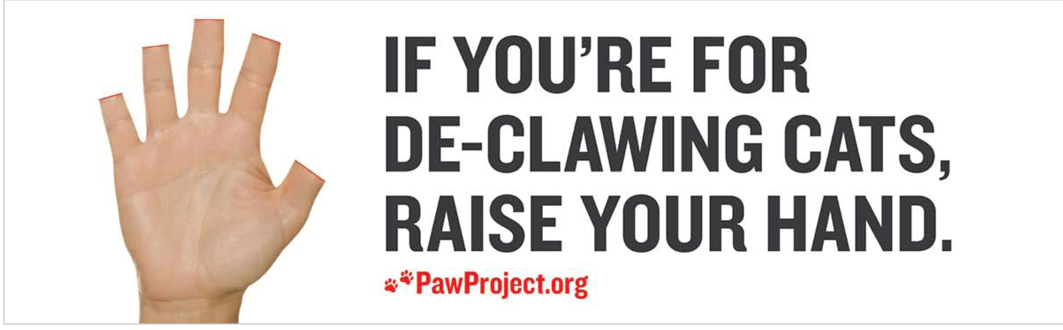 Show your support to anti-declawing with this bumper sticker!