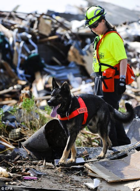 how can i protect my dog from earthquakes