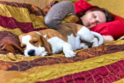 sleeping woman and its dog