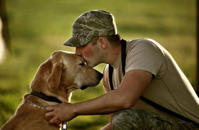 ptsd dog soldier warrior veteran service dog