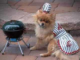 max_400_halloween-dog-costume-barbecue-chef