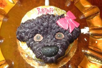 Pupi Dupi's birthday cake upclose!