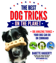 The Best Dog Tricks On The Planet