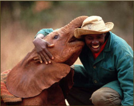 David Sheldrick and baby elephant