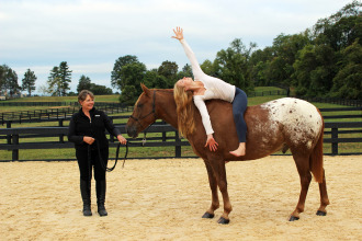 Equestrian Yoga