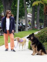 Billy+Ray+Cyrus+Walking+Dogs+5HsNTr_QRySl