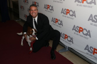 Andy Cohen and his dog Wacha 