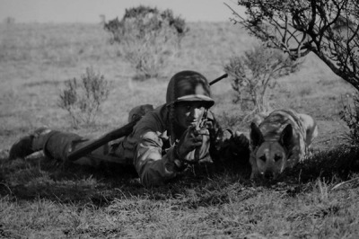 A World War II Warrior And His Canine