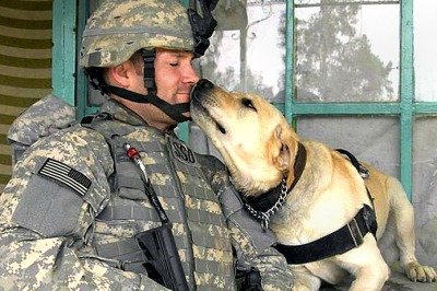 Canine Comforts One Of Our Military Men