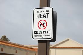heat kills pets sign
