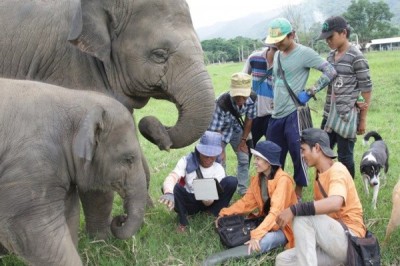 workers elephant nature park lek chalet