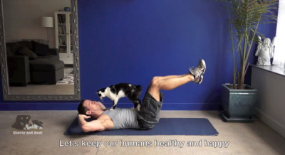 20130701-cat-video-work-out-2