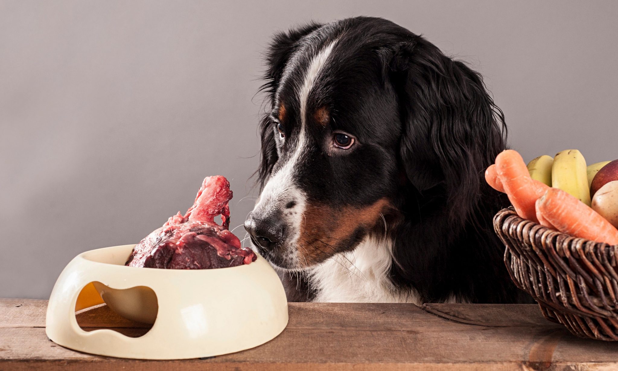 Можно ли есть мясо мелких животных сырое. Еда для собак. Миска с едой для собаки. Диетотерапия животных. Лакомства для собак.