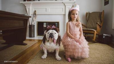 HT-Bulldog-Little-Girl-EM-16x9-608-jpg_221813