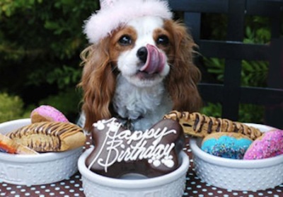 HAPPY BARKDAY!