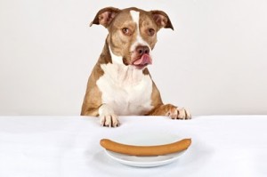 68-Can-dogs-eat-hot-dogs-300x199