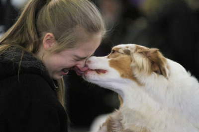 Even the fanciest show dogs just need a little loving