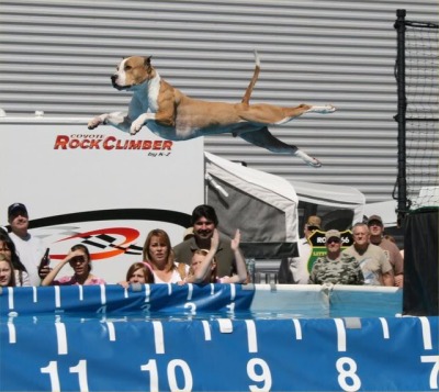 Catchin' some serious dock diving air, dawg! Gnarly!