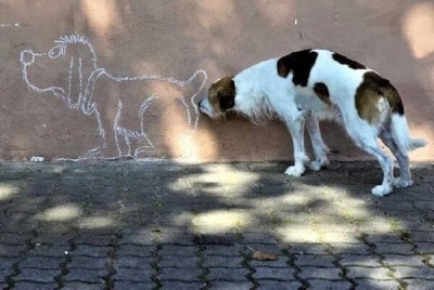 dog-sniffing-cartoon-dogs-butt