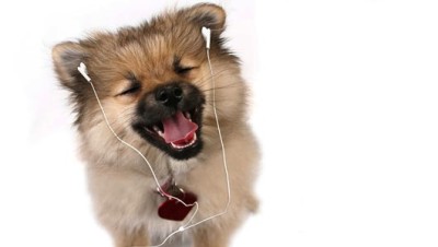 dog-with-ipod-earplugs