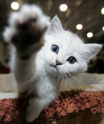 High five... four... same thing.