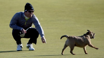 Looks like that dog thinks he can beat Pro. Golfer, John Casey, at the game!