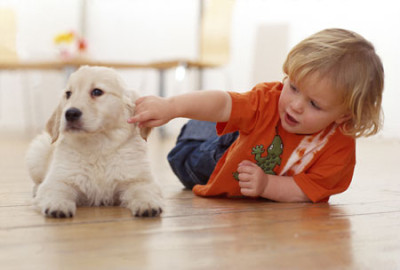 kid and dog