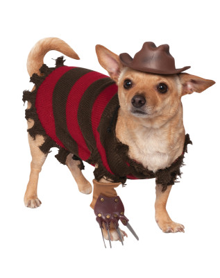 Dog freddy krueger