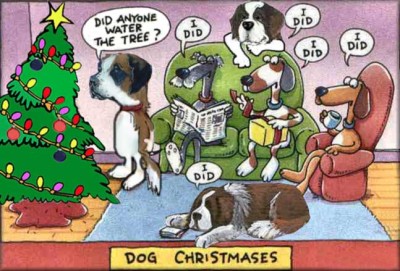 dog-christmas2
