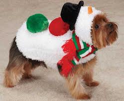 Dog dressed as a snowman